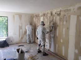 Best Forensic Mold Investigation in Kekaha, HI